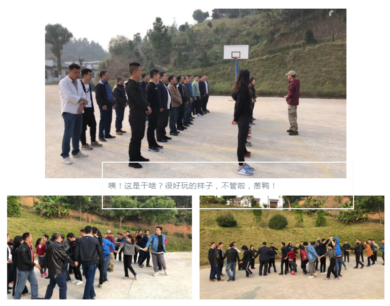 新西兰智阁板材 新西兰智阁板材