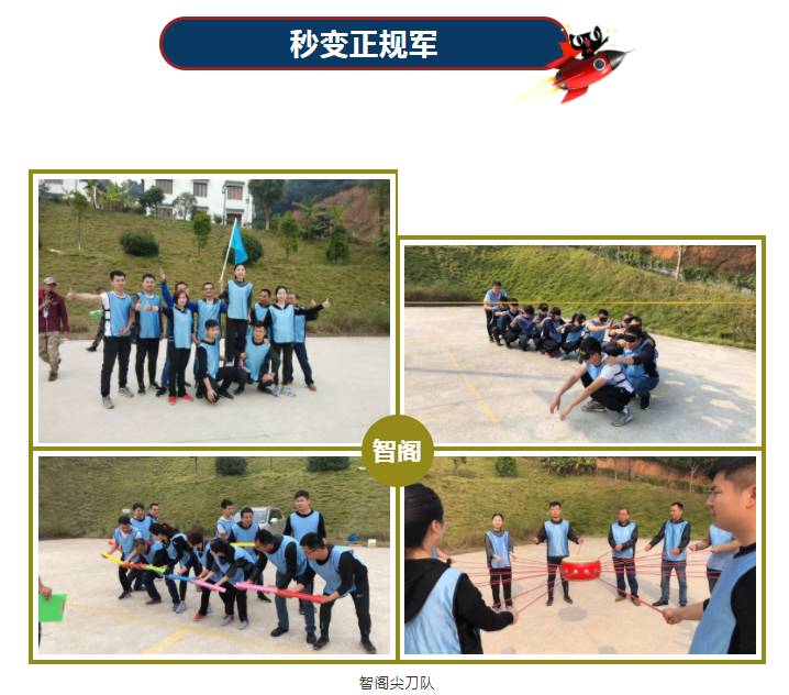 新西兰智阁板材 新西兰智阁板材