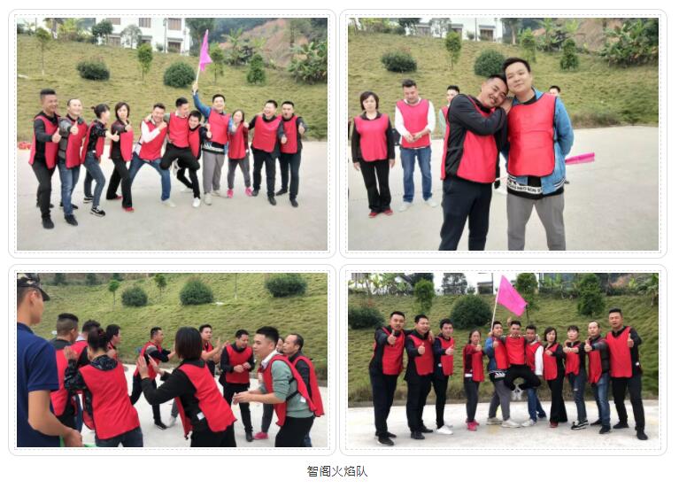 新西兰智阁板材 新西兰智阁板材