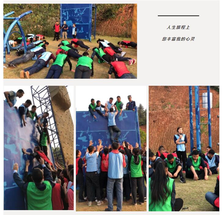 新西兰智阁板材 新西兰智阁板材