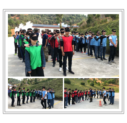 新西兰智阁板材 新西兰智阁板材