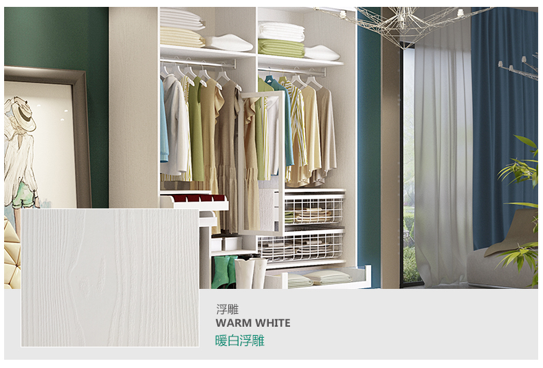 生态板做衣柜效果图