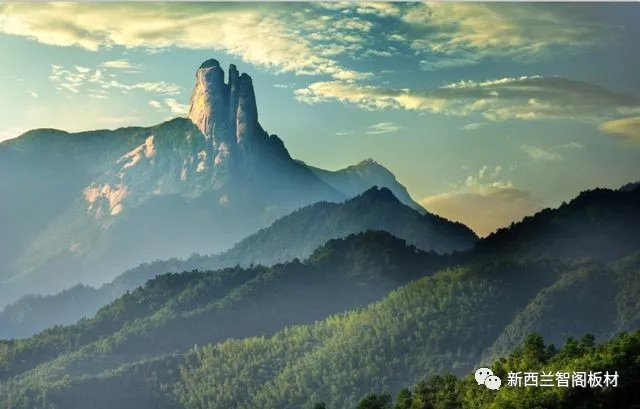 新西兰智阁板材 新西兰智阁板材